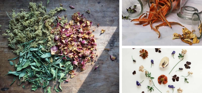 Comment faire sécher des pétales de fleurs pour mes confettis de